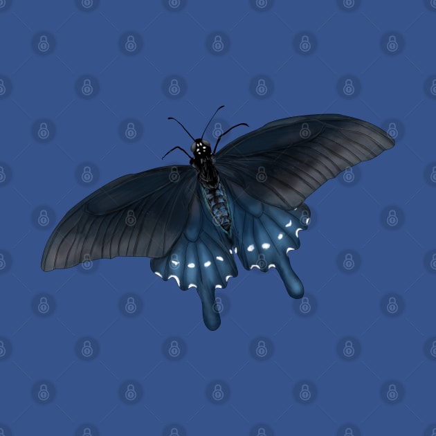 blue pipevine swallowtail butterfly by ElementalEmbers