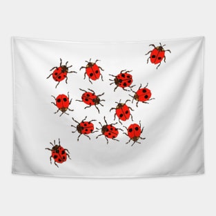 Ladybirds released Tapestry