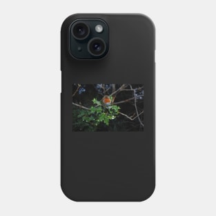 Holly Robin Phone Case