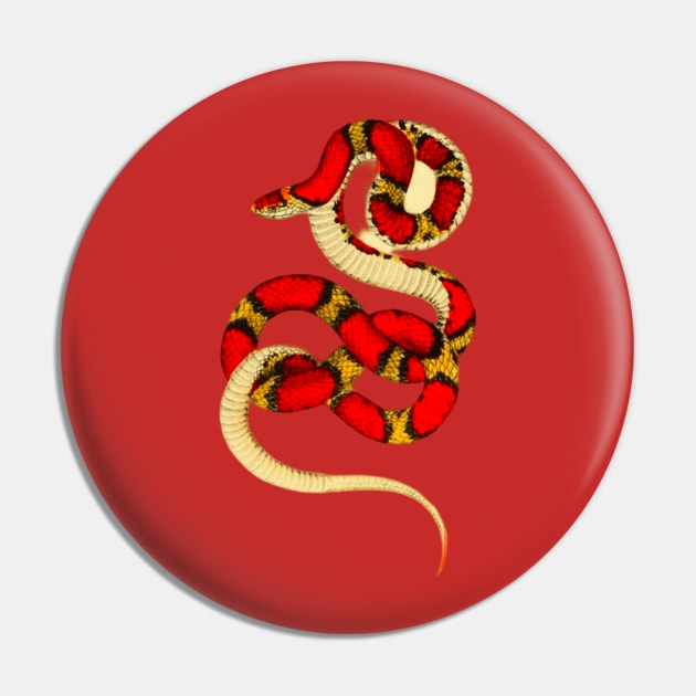 snake Pin by vabontchi