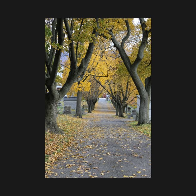 Fairview Cemetery, Altoona PA Pennsylvania by Edgot