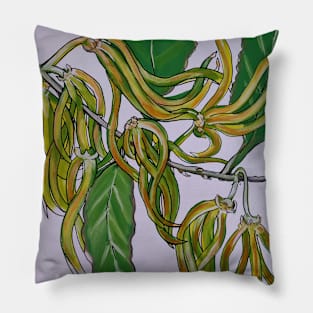 Ylang ylang Pillow