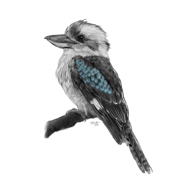 Kookaburra by TeaAndMisery