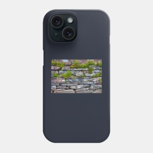 Moss and Ferns On A Slate Wall Phone Case