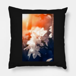 Blossom Pillow