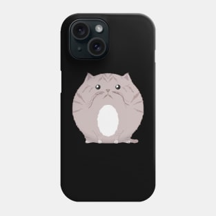 Sfurical round brown striped tabby cat with socks Phone Case