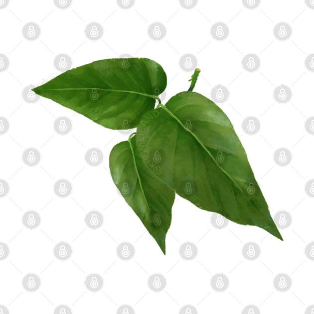 Pothos Jade Leaf by Khotekmei