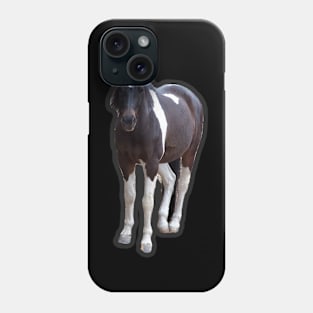 American Paint Horse Phone Case