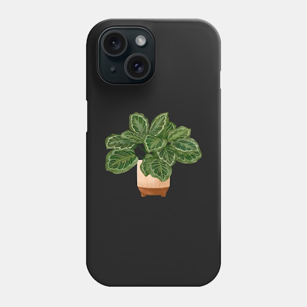 Calathea Medallion- Prayer Plant, Potted Plant Illustration Phone Case by gusstvaraonica