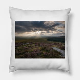 Dartmoor Rays Pillow