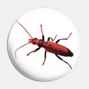 Red Beetle Wharf Borer Pin