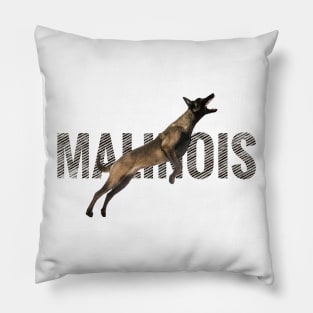 Malinois  - Belgian shepherd - Mechelaar Pillow