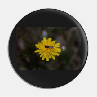 Bee on a daisy Pin