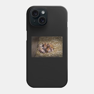 Let Sleeping Piglets Lie Phone Case