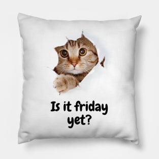 Is it Friday yet kitty? Pillow