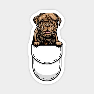 Funny Dogue De Bordeaux Pocket Dog Magnet