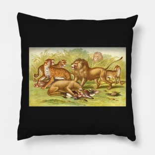 Big Cat types Circa 1874 Pillow