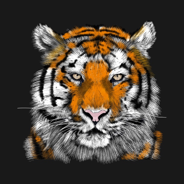 Tiger by RedSheep