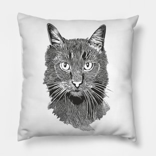 Magic Cat Pillow