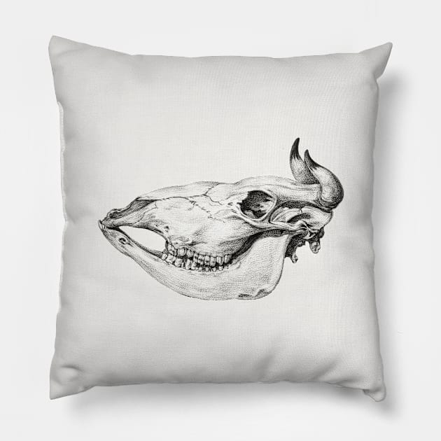 Skull of a cow by Jean Bernard Pillow by Helgar