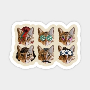 Cat Faces Magnet