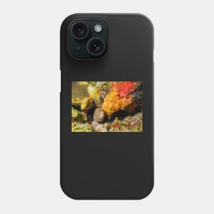 Sharptail Phone Case