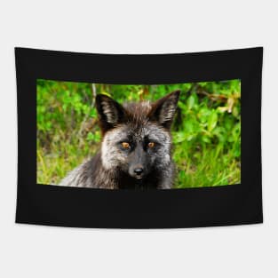 Wild coyote face mask design A Tapestry