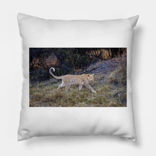 Magnificent Leopard (Panthera pardus) Pillow