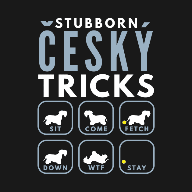 Stubborn Cesky Terrier Tricks - Dog Training by DoggyStyles