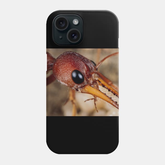 ant Phone Case by yasminewilbond