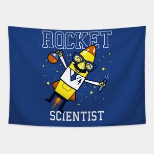 Funny Rocket Scientist Cute Cartoon Gift For Kids Students Tapestry
