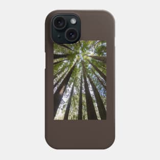 Looking up the tall redwood trees. Phone Case