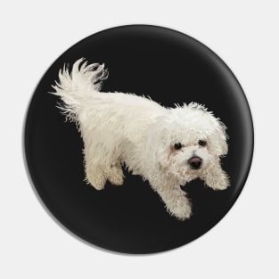 Bichon Frise Dog Pin