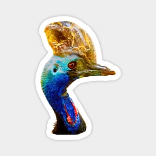 Cassowary Portrait Magnet