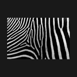 Zebra Skin T-Shirt