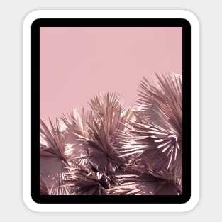 Cute pink palm trees