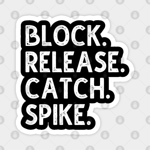 Block Release Catch Spike Magnet by DragonTees