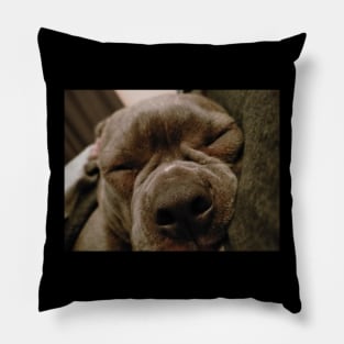 Squishy Face 1 Pillow