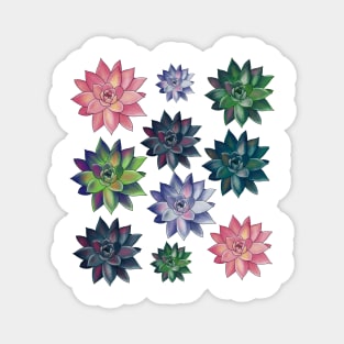 Colorful Succulent Watercolor Pattern Magnet