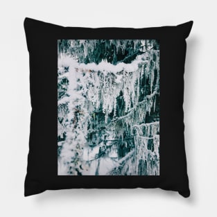 Wintertime - Closeup of Frost on Moss Hanging From Fir Tree Pillow