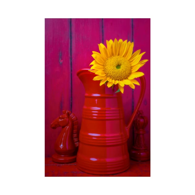 Red Pitcher With Sunflower by photogarry