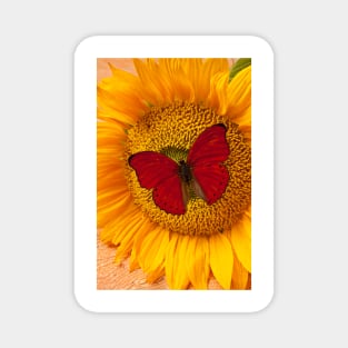 Red Butterfly On Sunflower Magnet