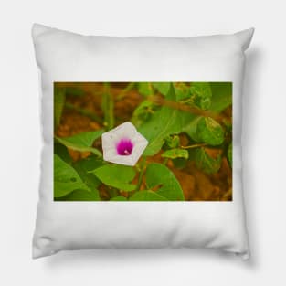 blla sweet potato Pillow