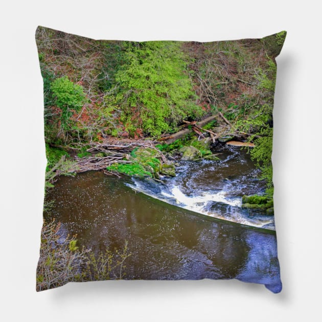 Avon Weir Pillow by tomg