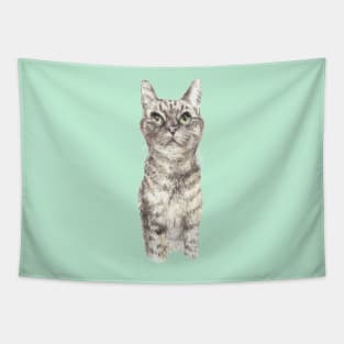 Tabby Cat Tapestry