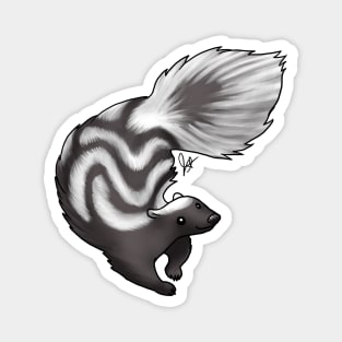 Skunk - Black Swirl Magnet