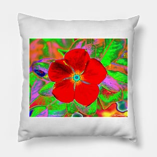 Scarlet Solitaire Pillow