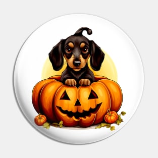 Dachshund Dog inside Pumpkin #1 Pin