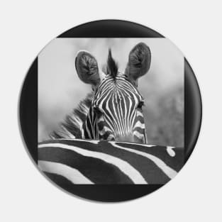 Zebra in Black and White Pin