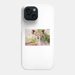 Female Kudu Portrait - Krüger National Park Phone Case